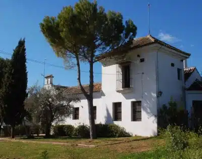 Hacienda Dos Olivos